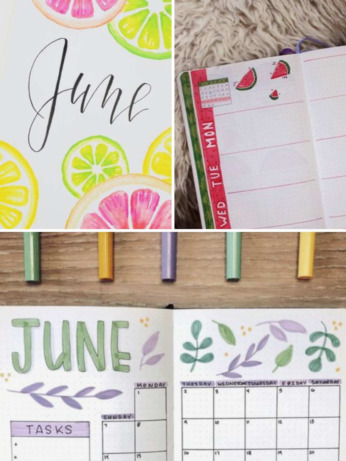 Citrus June bullet journal. Watermelon themed weekly planner. June Floral themed planner.
